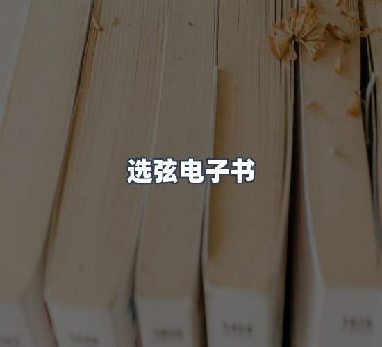 关于选弦电子书